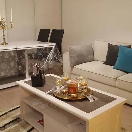 Apartment Spacieux Avec Terrasse Pres De Paris Et Du Stade De France Saint-Denis (Seine-Saint-Denis)